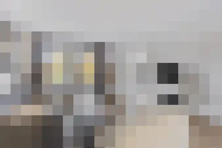 Tarwehof 94 Heerlen thumbnail 12