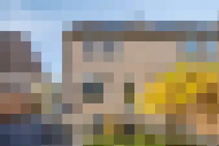 Tarwehof 94 Heerlen thumbnail 18