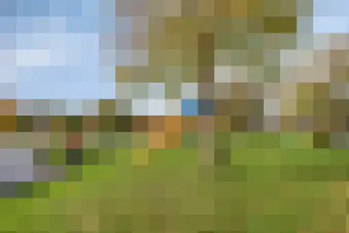Tarwehof 94 Heerlen thumbnail 31