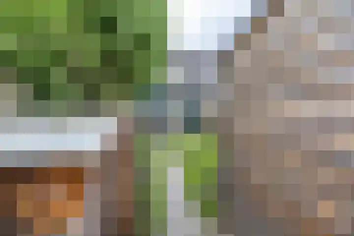 Tarwehullen 23 Assen thumbnail 30