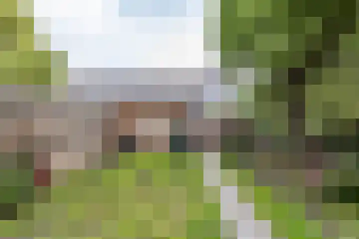 Tarwehullen 23 Assen thumbnail 31