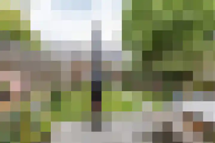 Tarwehullen 23 Assen thumbnail 5