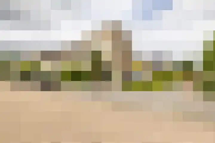 Tarwehullen 23 Assen thumbnail 6