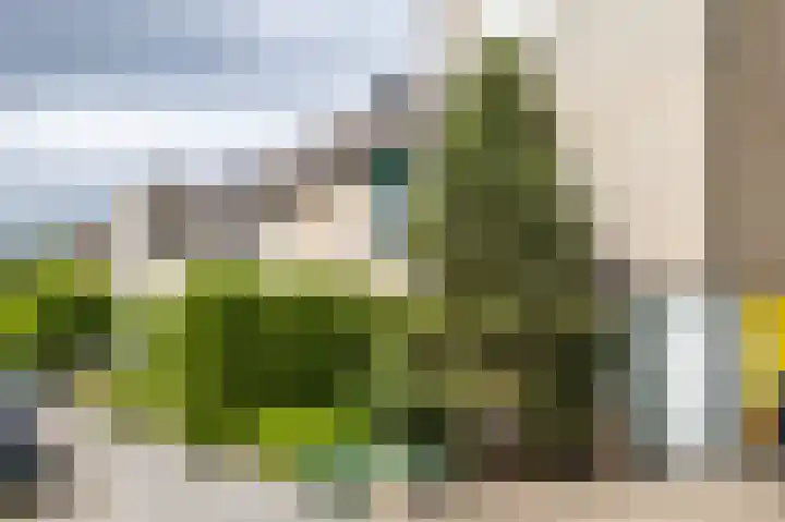 Tarwehullen 23 Assen thumbnail 7