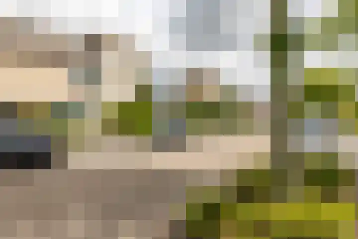 Tarwehullen 23 Assen thumbnail 8