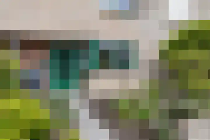 Tarwehullen 23 Assen thumbnail 9