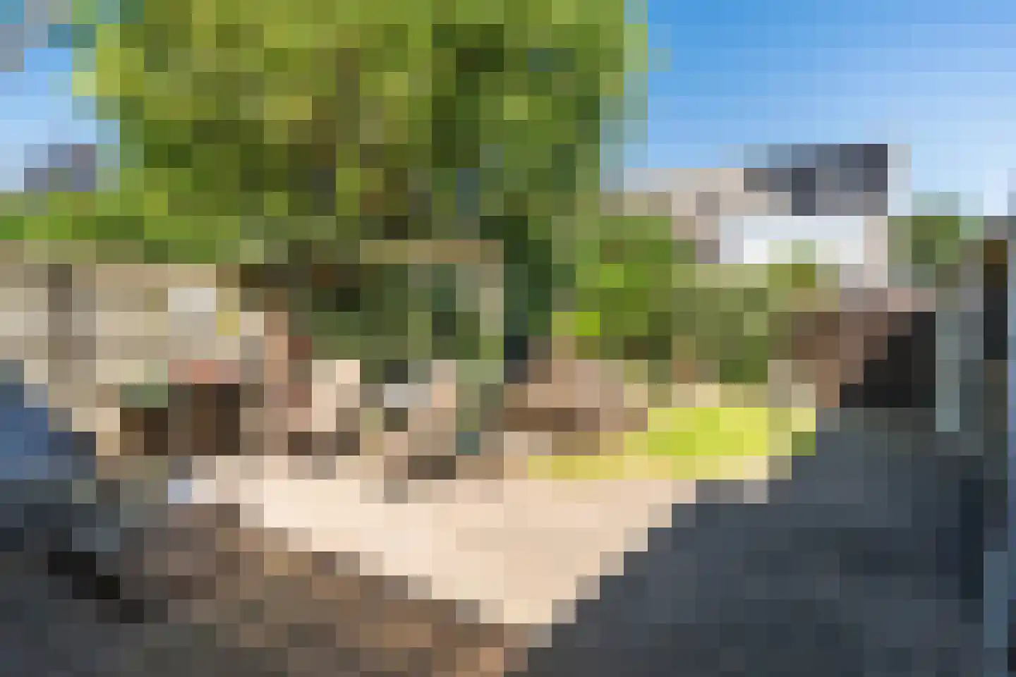 Tarwehullen 25 Assen thumbnail 25