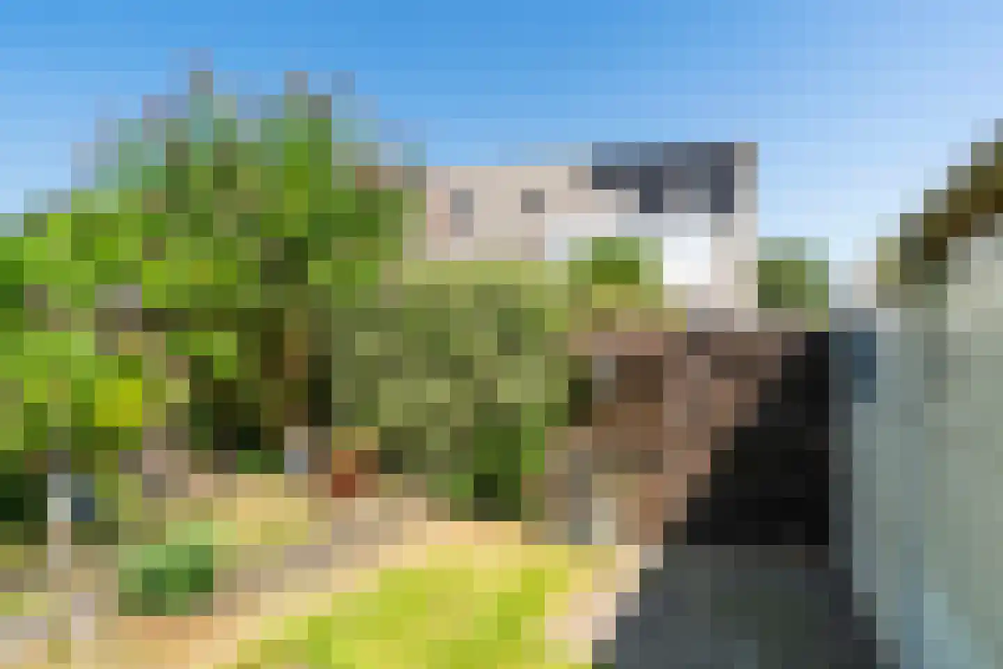 Tarwehullen 25 Assen thumbnail 29