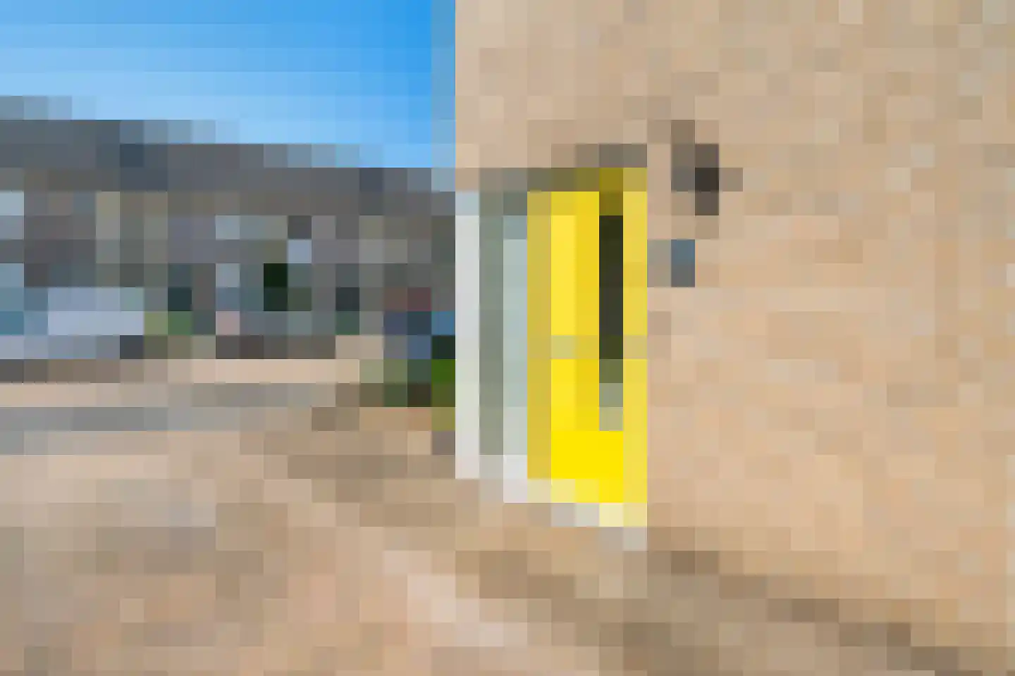 Tarwehullen 25 Assen thumbnail 34