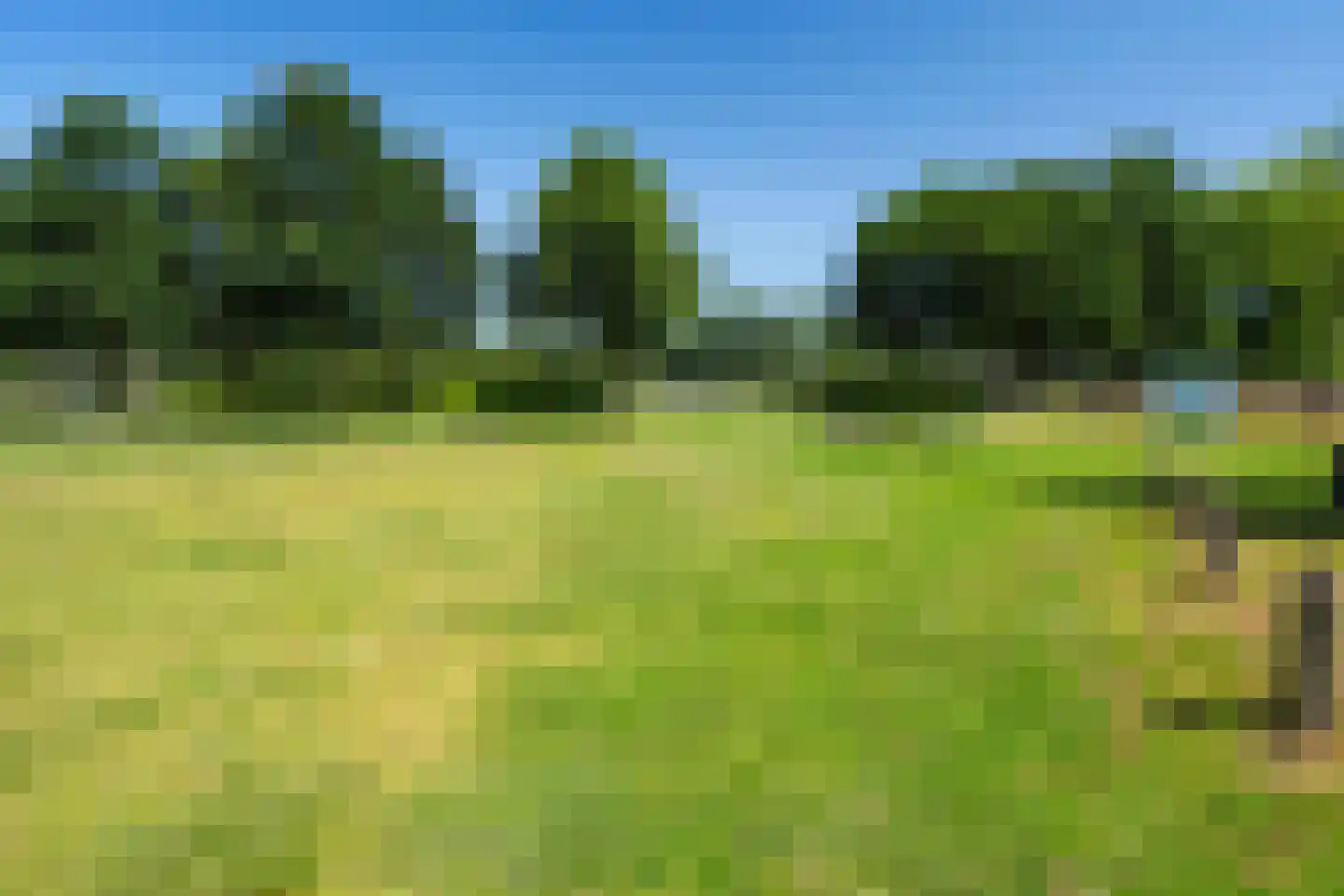 Tarwehullen 25 Assen thumbnail 41