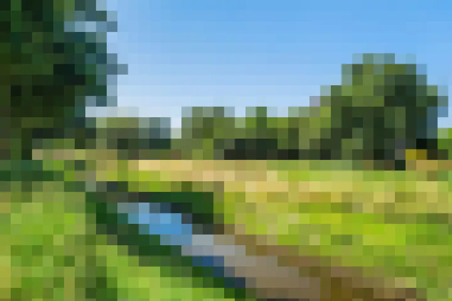 Tarwehullen 25 Assen thumbnail 42