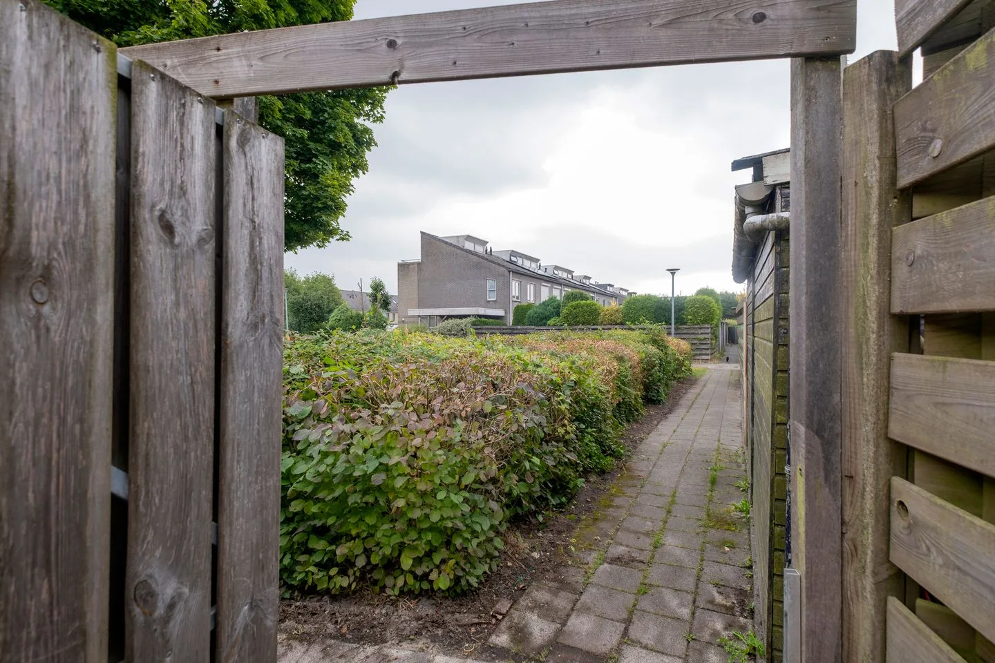 Tarwehullen 34 Assen thumbnail 31