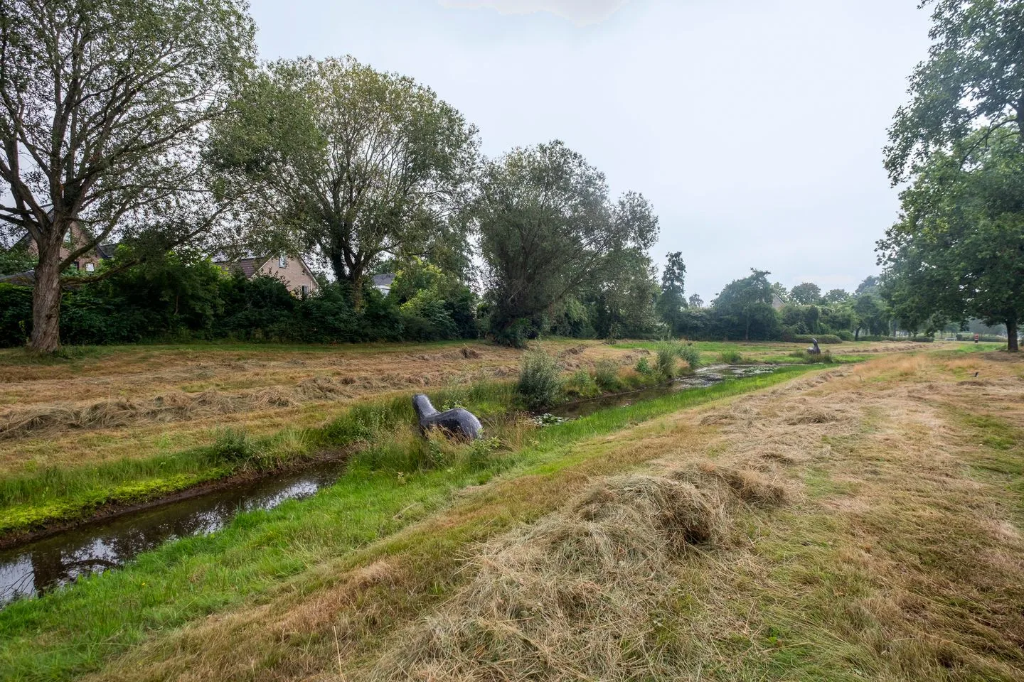 Tarwehullen 34 Assen thumbnail 34
