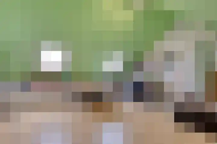Tarwehullen 44 Assen thumbnail 17