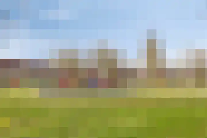 Tarwehullen 44 Assen thumbnail 21