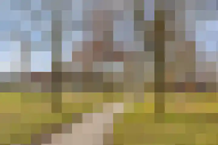 Tarwehullen 44 Assen thumbnail 22