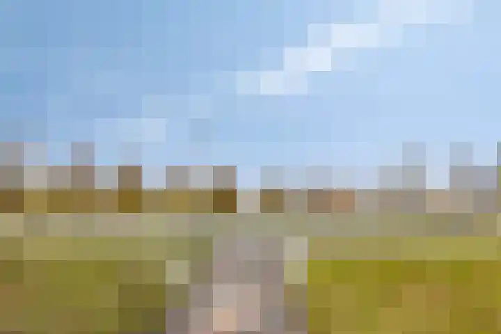 Tarwehullen 44 Assen thumbnail 23