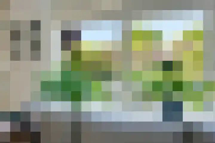 Tarwehullen 51 Assen thumbnail 10