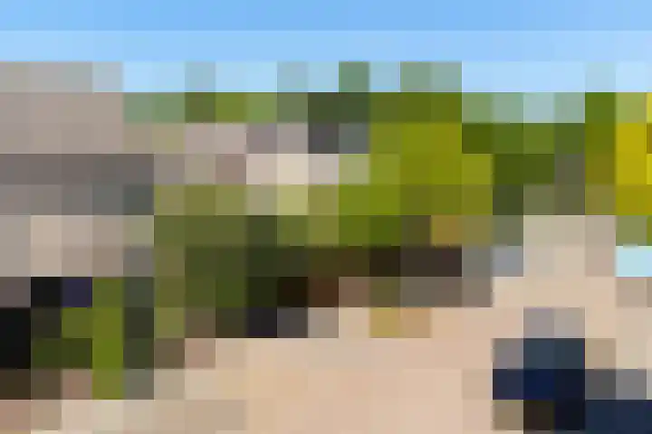 Tarwehullen 51 Assen thumbnail 4