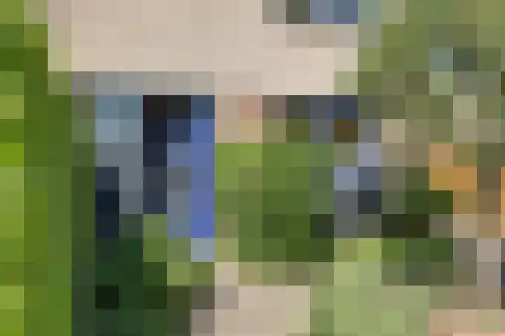Tarwehullen 51 Assen thumbnail 5