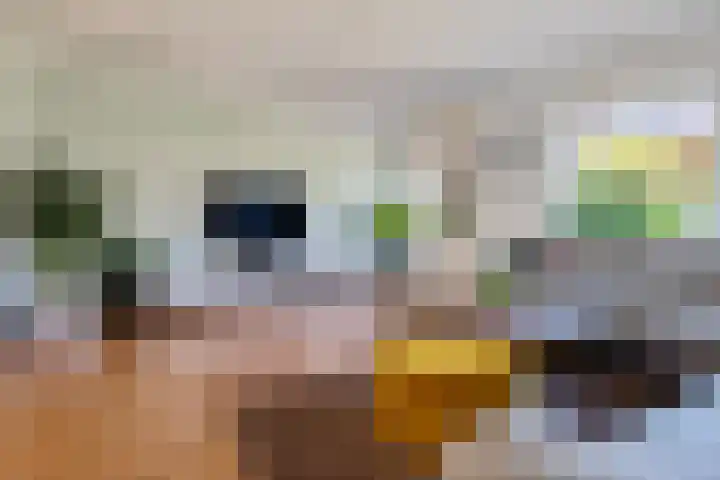 Tarwehullen 51 Assen thumbnail 7