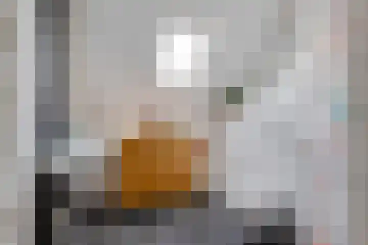 Tarwehullen 8 Assen thumbnail 23