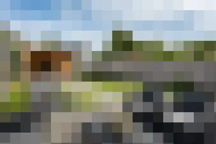 Tarwehullen 8 Assen thumbnail 28