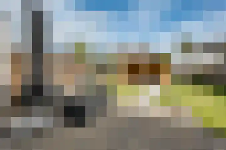 Tarwehullen 8 Assen thumbnail 29