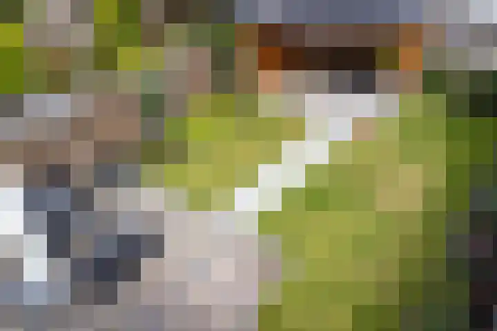 Tarwehullen 8 Assen thumbnail 31