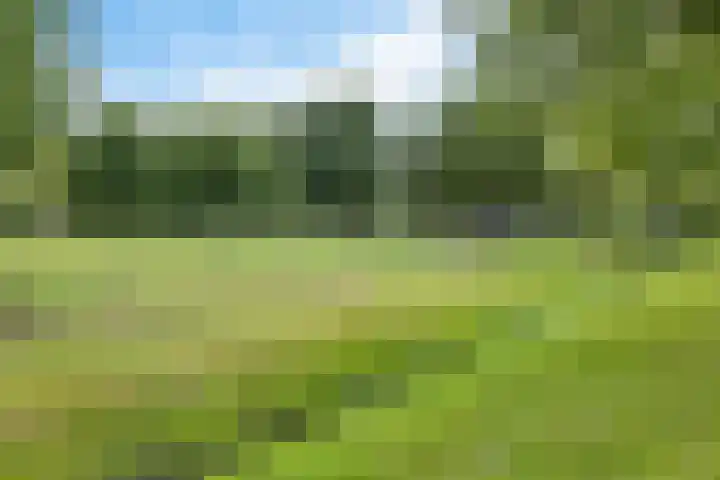 Tarwehullen 8 Assen thumbnail 36