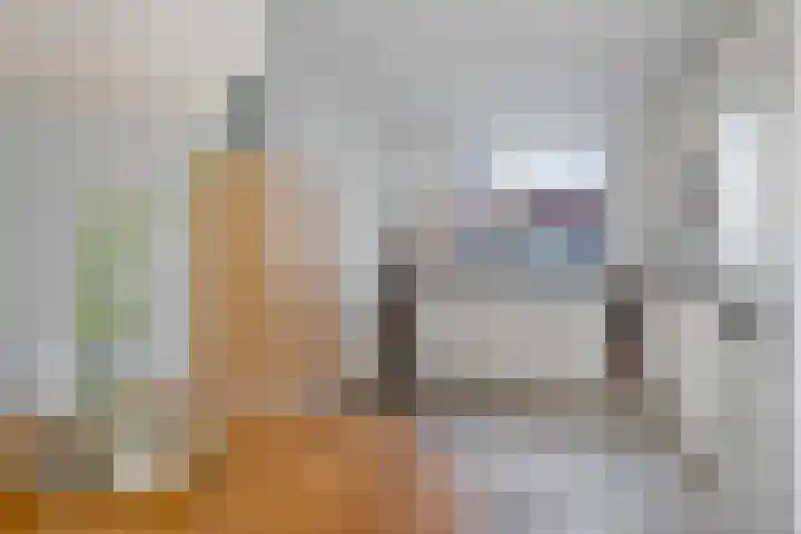 Tarwehullen 90 Assen thumbnail 13
