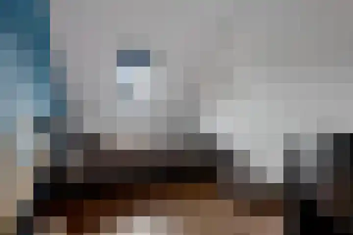 Tarwehullen 90 Assen thumbnail 18
