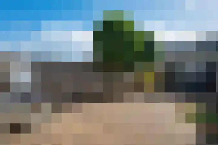Tarwehullen 90 Assen thumbnail 33