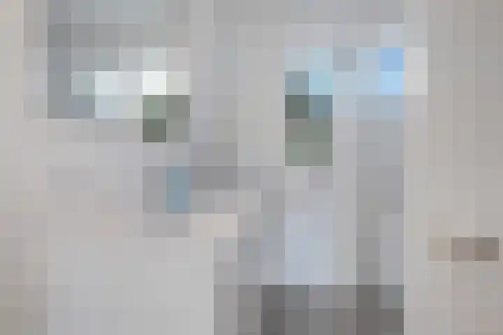 Tarwehullen 90 Assen thumbnail 4