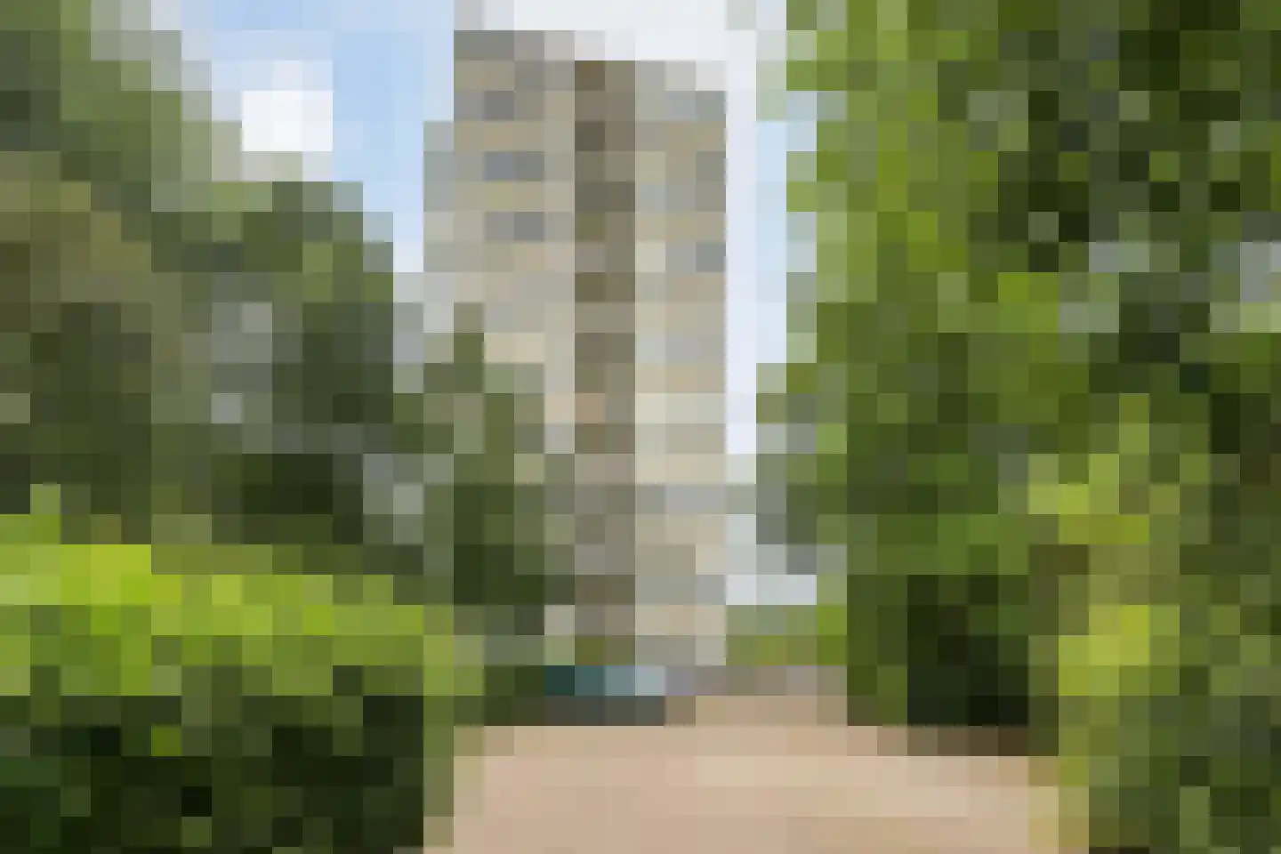 Tarwekamp 107 Den Haag thumbnail 29