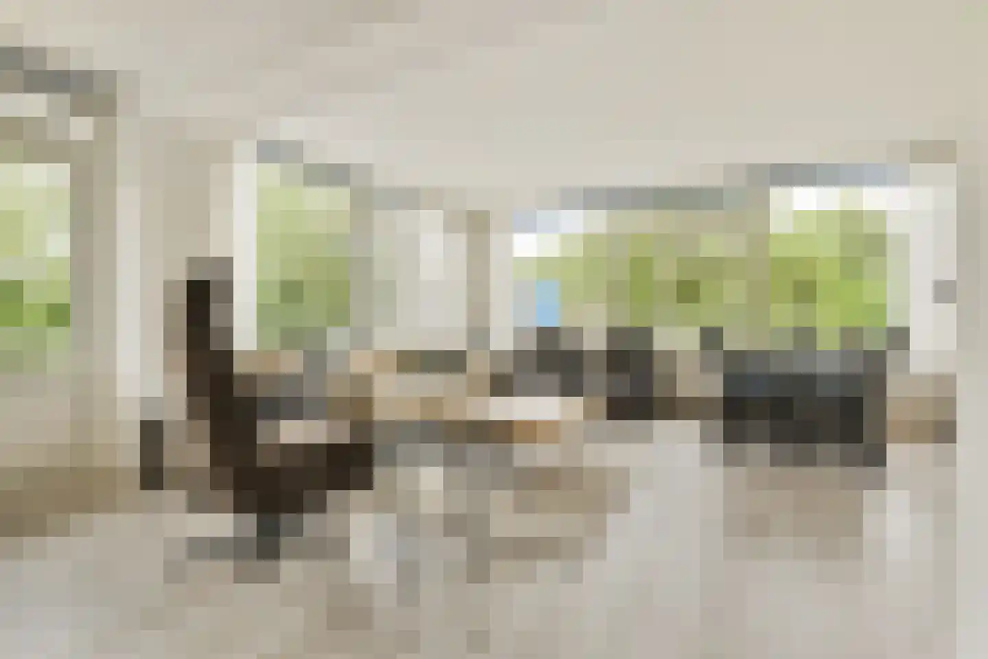 Tarwekamp 107 Den Haag thumbnail 9
