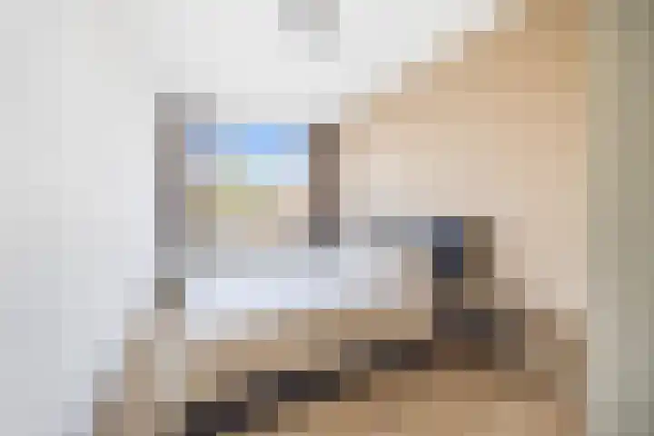Tarwekamp 121 Den Haag thumbnail 18