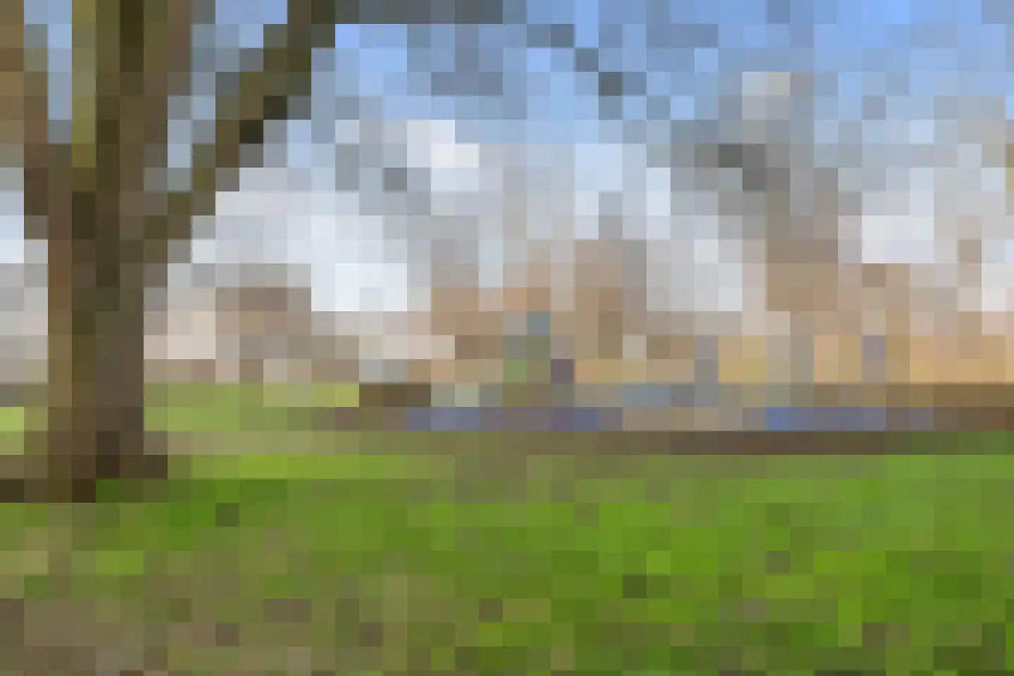 Tarwekamp 121 Den Haag thumbnail 23