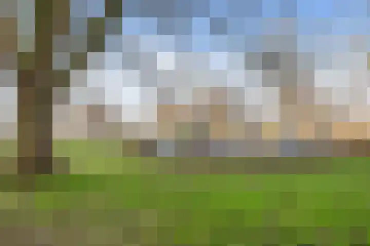 Tarwekamp 121 Den Haag thumbnail 23