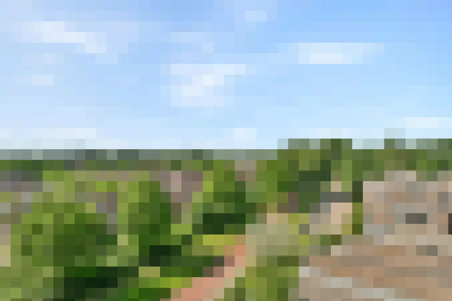 Tarwekamp 128 Diemen thumbnail 8