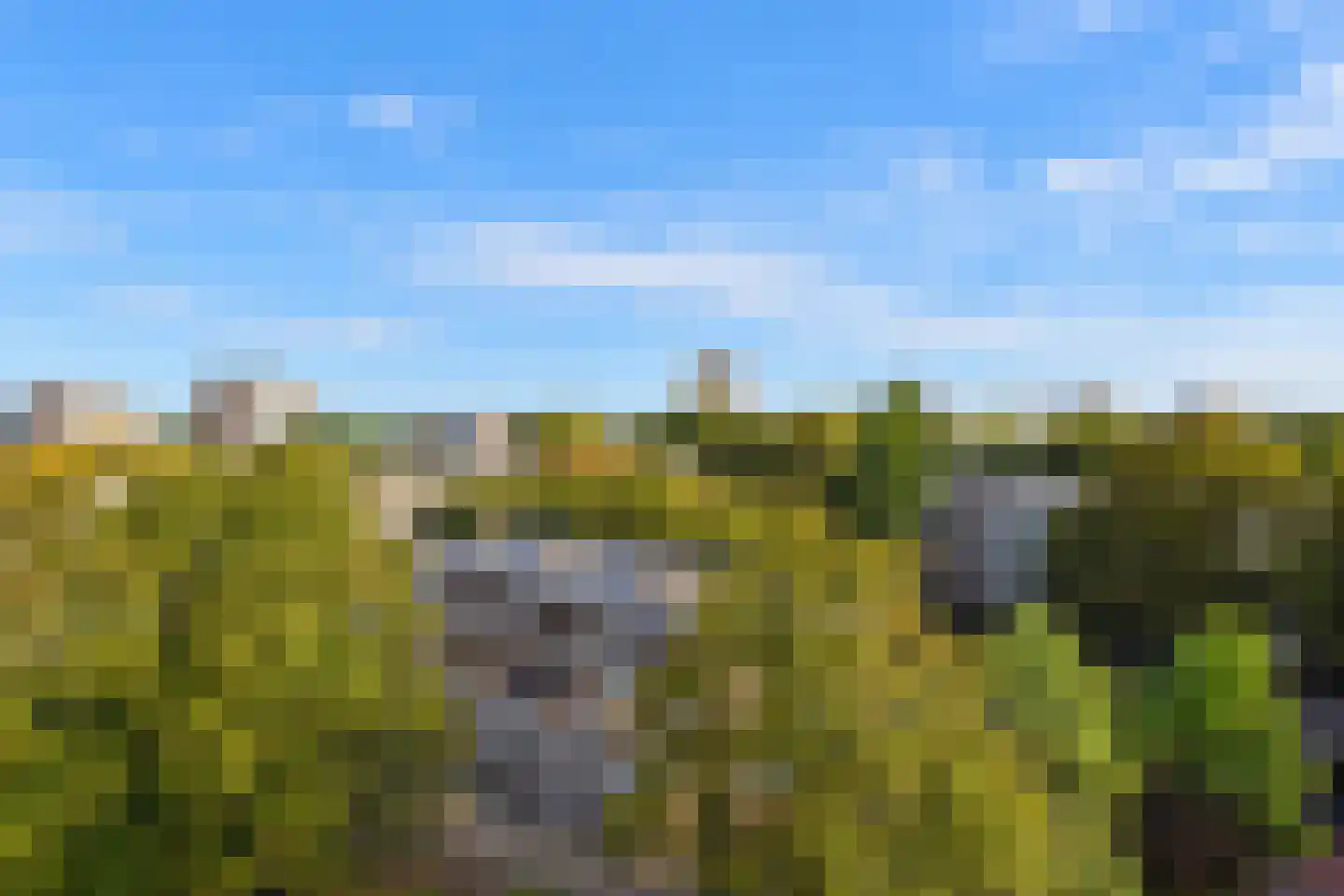 Tarwekamp 141 Den Haag thumbnail 27