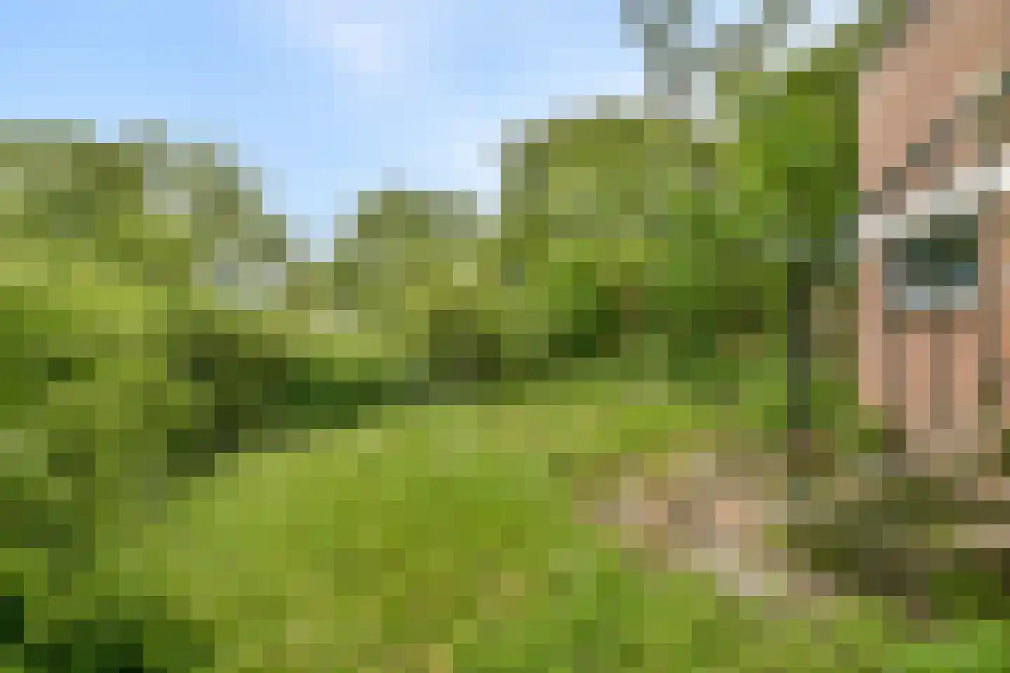 Tarwekamp 164 Diemen thumbnail 12