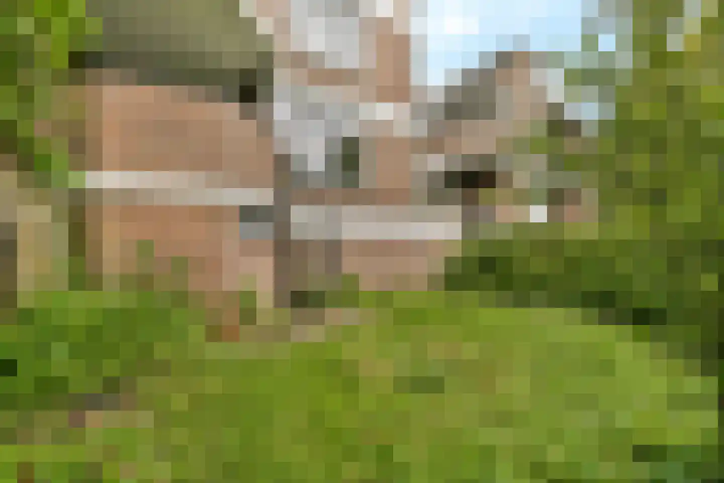 Tarwekamp 164 Diemen thumbnail 13