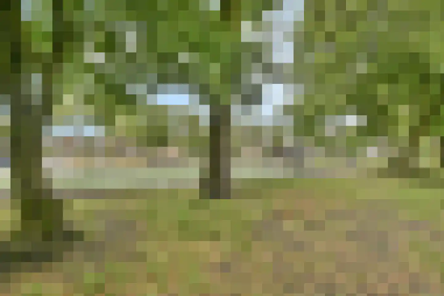 Tarwekamp 164 Diemen thumbnail 23