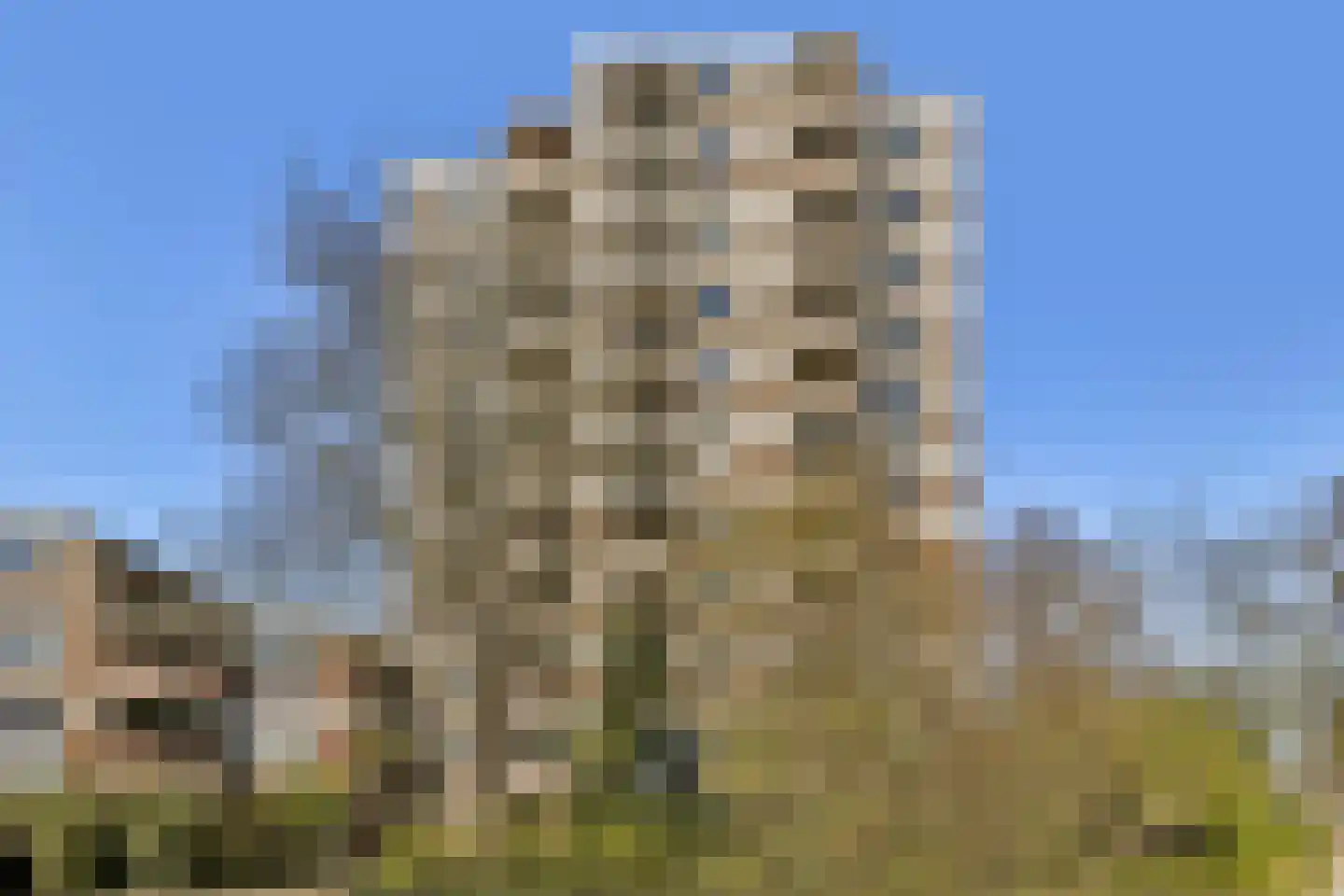 Tarwekamp 164 Diemen thumbnail 26