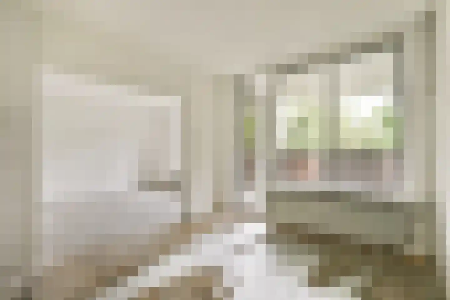 Tarwekamp 164 Diemen thumbnail 8