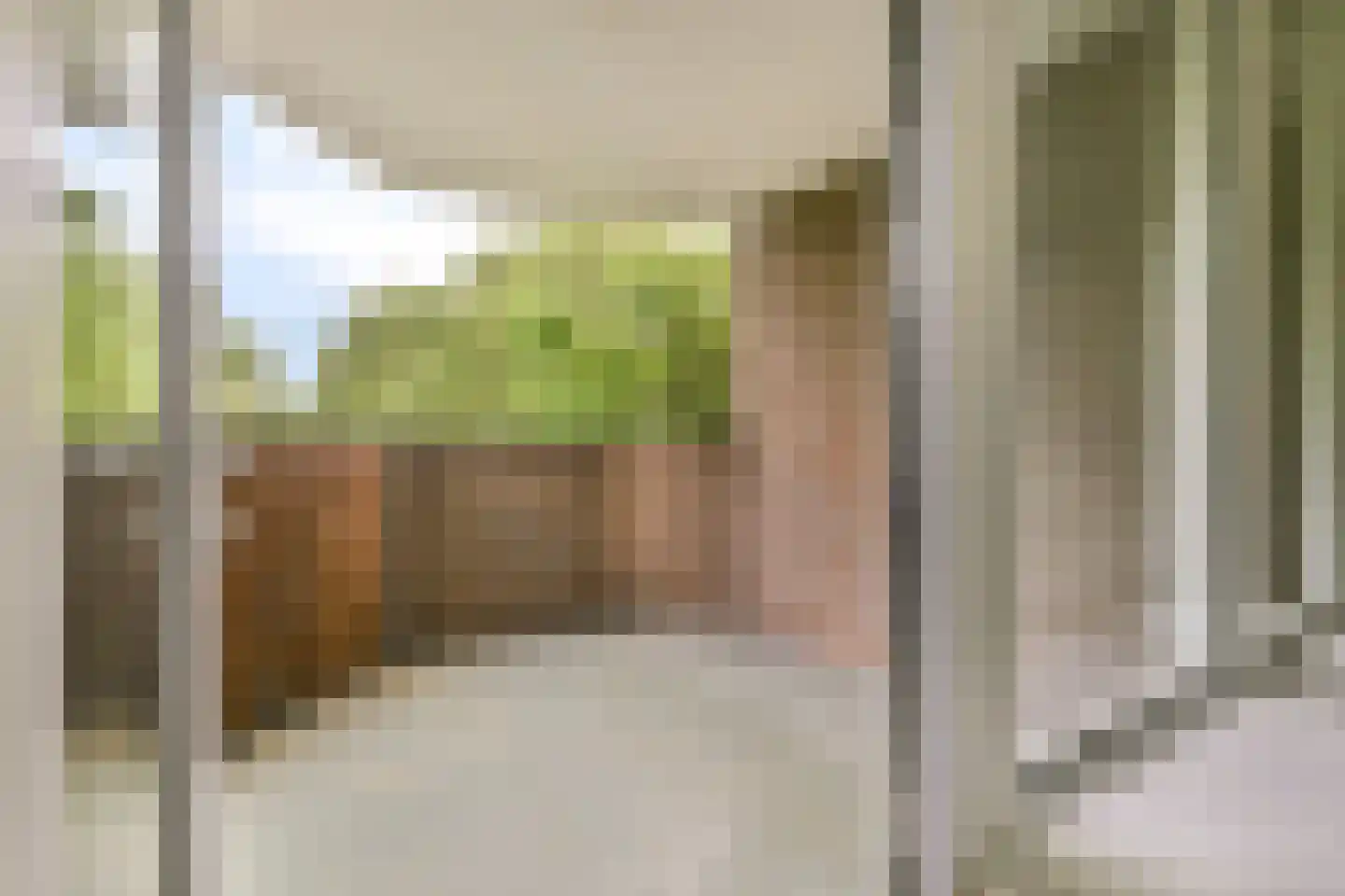 Tarwekamp 164 Diemen thumbnail 9