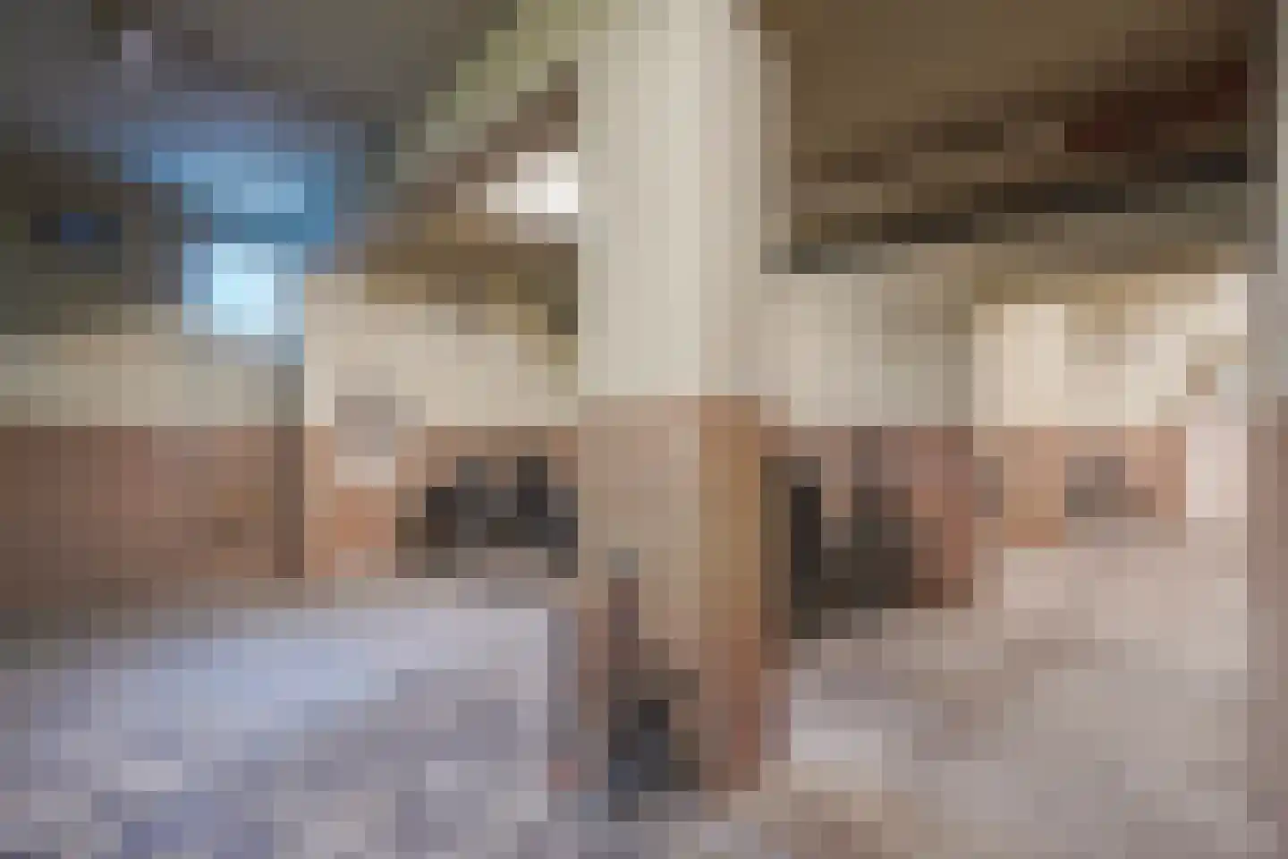 Tarwekamp 185 Den Haag thumbnail 34