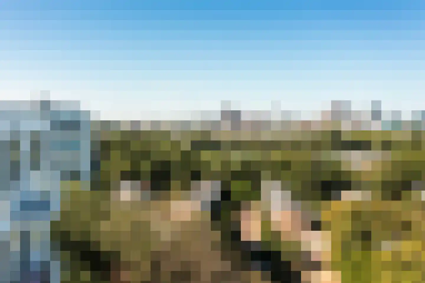Tarwekamp 185 Den Haag thumbnail 53