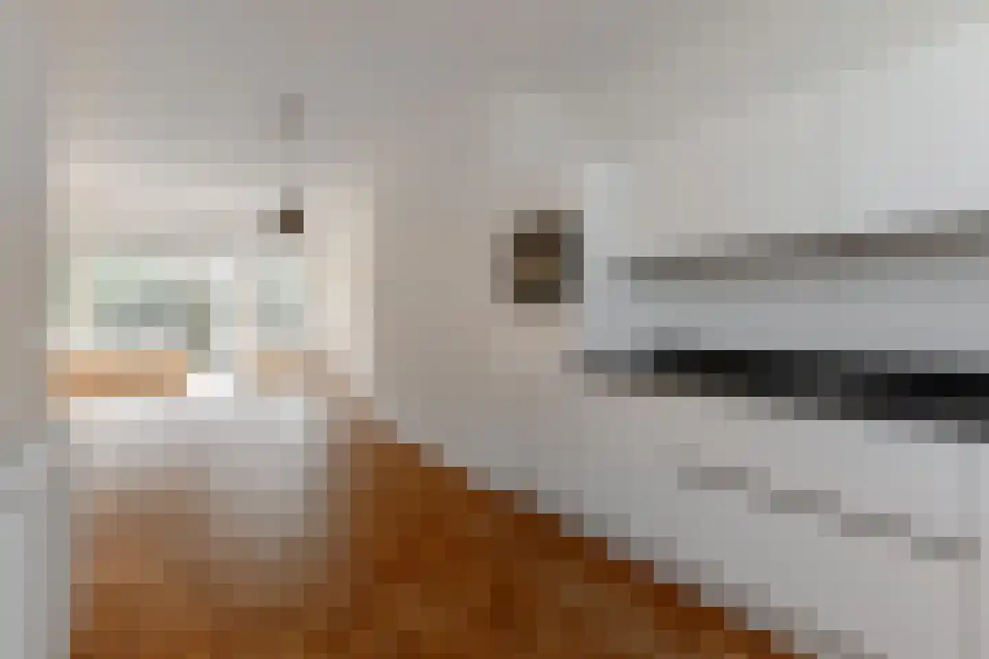 Tarwekamp 27 Den Haag thumbnail 10